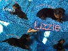  - Les bébés Lewis et Lizzie