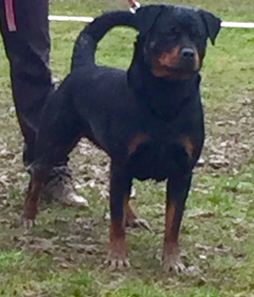 Hanka (Sans Affixe)