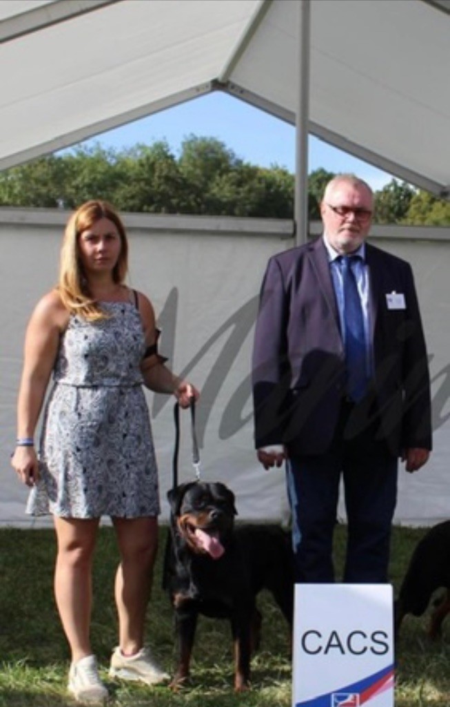 CH. Prentiss Des Gardiens Du Diamant Noir