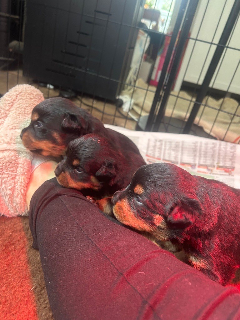 Première séance photo 